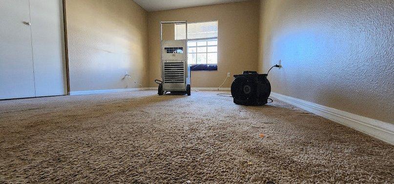 FL Bed Bug Experts