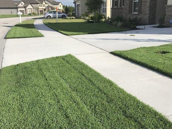 CTH Pest Solutions & Commercial Landscape Management