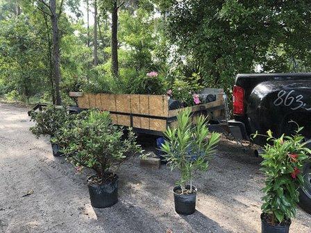 Butler Tree Farm