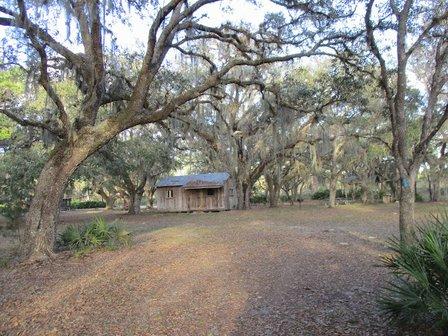 Lake Wales Ridge State Forest