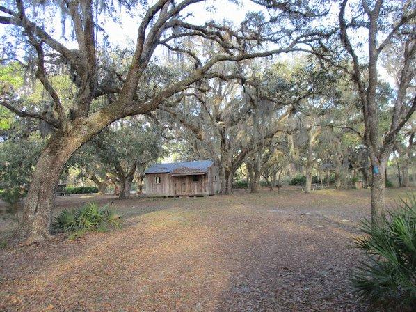 Lake Wales Ridge State Forest