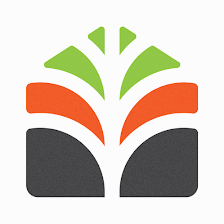 Paradise Palms Property Management