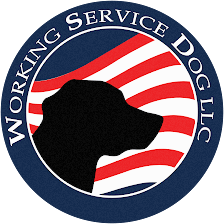 Working Service Dog