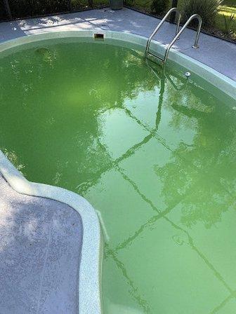Backyard Pool
