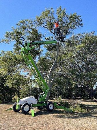 Trent's Tree Service The Neighborhood Arborist LLC