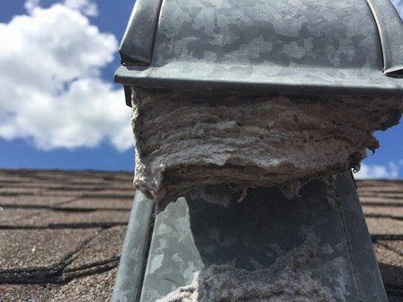Vent Doctor - Dryer Vent Cleaning
