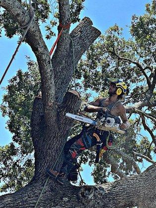 Shaq's Palm & Tree Climbing Services LLC
