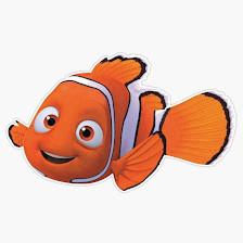 Nemo Pool Services