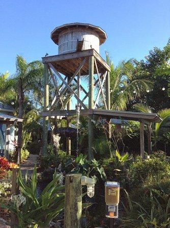 The Fish Hole Miniature Golf
