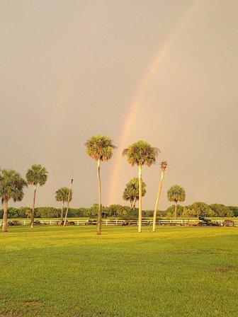 Big Slough Ranch