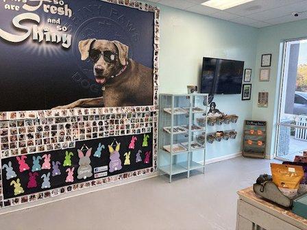 Shiny Paws Dog Wash & Grooming