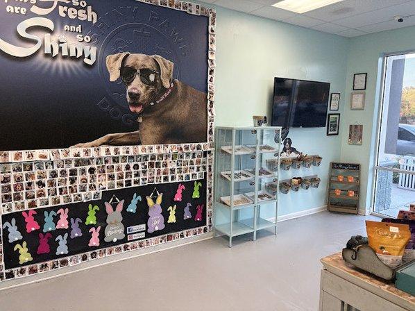 Shiny Paws Dog Wash & Grooming