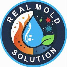 Real Mold Solution