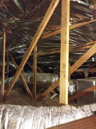 Attic Ninja