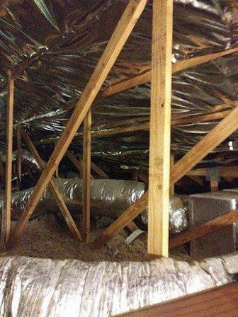 Attic Ninja