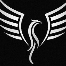 Patriot Drone LLC
