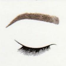 Brow Artist Eyebrow Threading