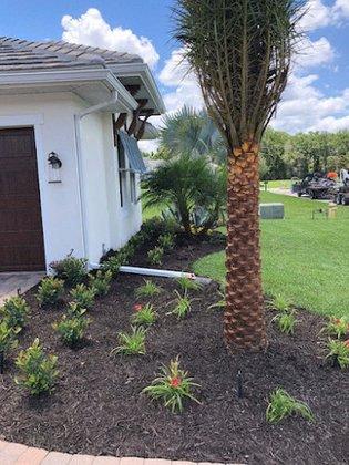 Amerson Landscape Inc