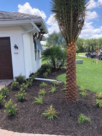 Amerson Landscape Inc