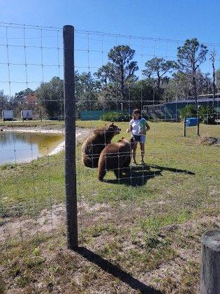 Bearadise Ranch Bear Preserve