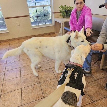 Midway Animal Hospital