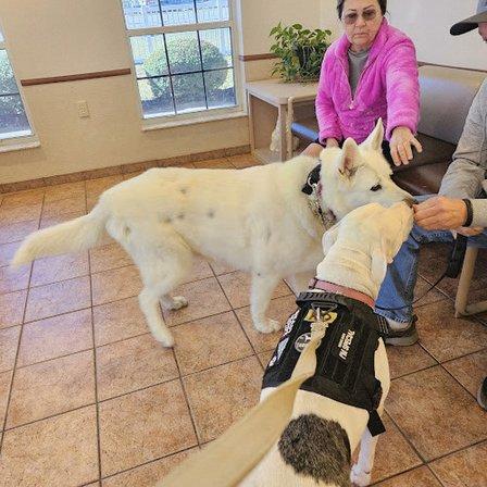 Midway Animal Hospital