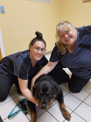 Hernando Animal Hospital
