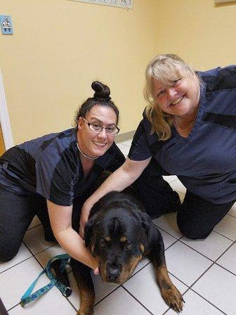 Hernando Animal Hospital