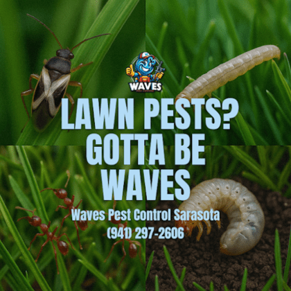 Waves Pest Control Sarasota