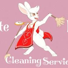 White Rabbit Cleaning Service