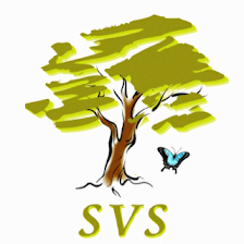 Spring Valley School