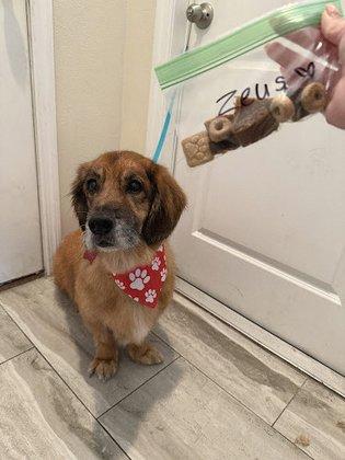 Heaven's Luxury Pet Care