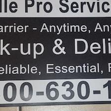 Jenville Pro Services Inc