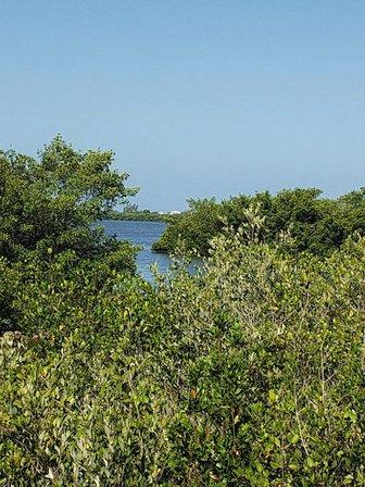 Dr. Willard "Bill" Coy Preserve on Buck Creek