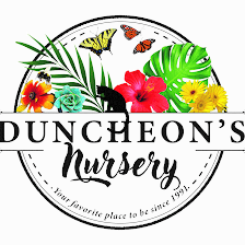 Duncheon's Nursery