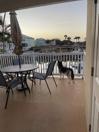 Florida Sun Vacation Rentals