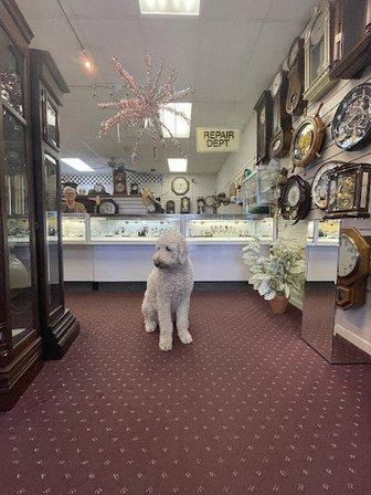 Certified Clock & Watch Shop