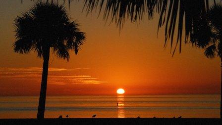 The Nicholas Group Clearwater, Inc.