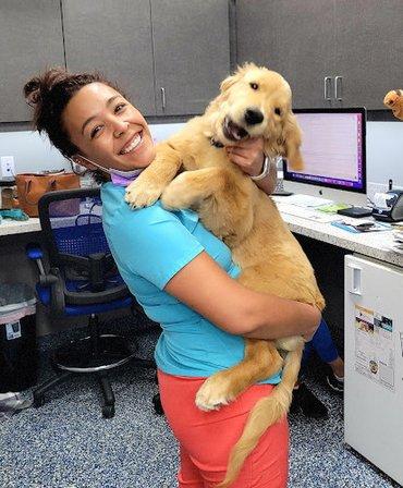 Keystone Animal Hospital