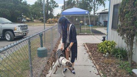 Citrus County Animal Services