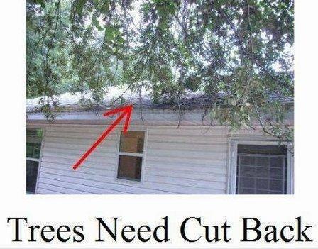 Florida Home Inspection Inc
