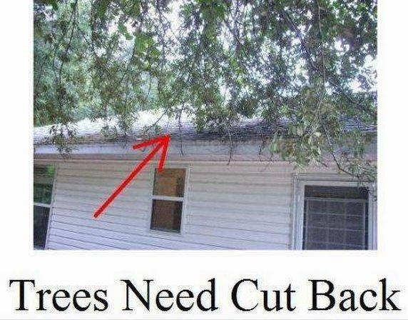 Florida Home Inspection Inc