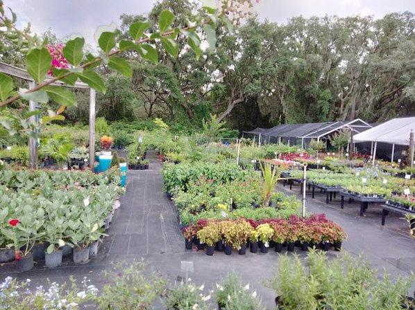 Duncheon's Nursery