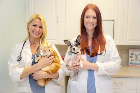 Harmony Vet Care of Oldsmar