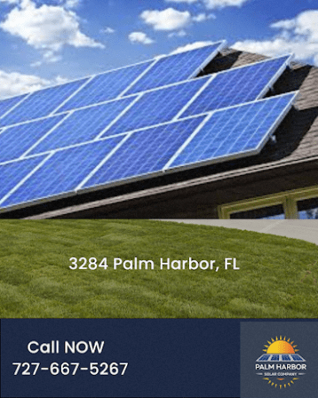 Palm Harbor solar company