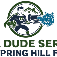 The Dryer Geniuses Kissimmee FL