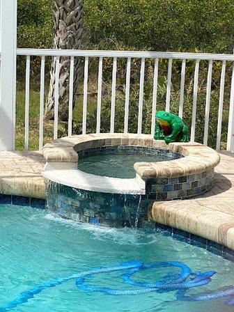 Duck Duck Leak Detection