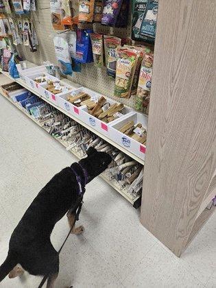 Healthy Pet Products Florida