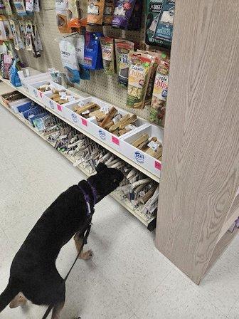 Healthy Pet Products Florida