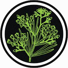 Meadow Theory